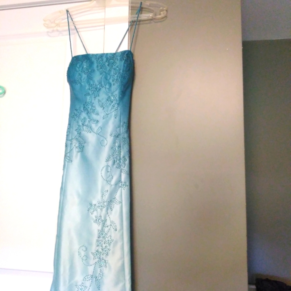 Bridesmaid/Prom dress